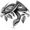 Serpent